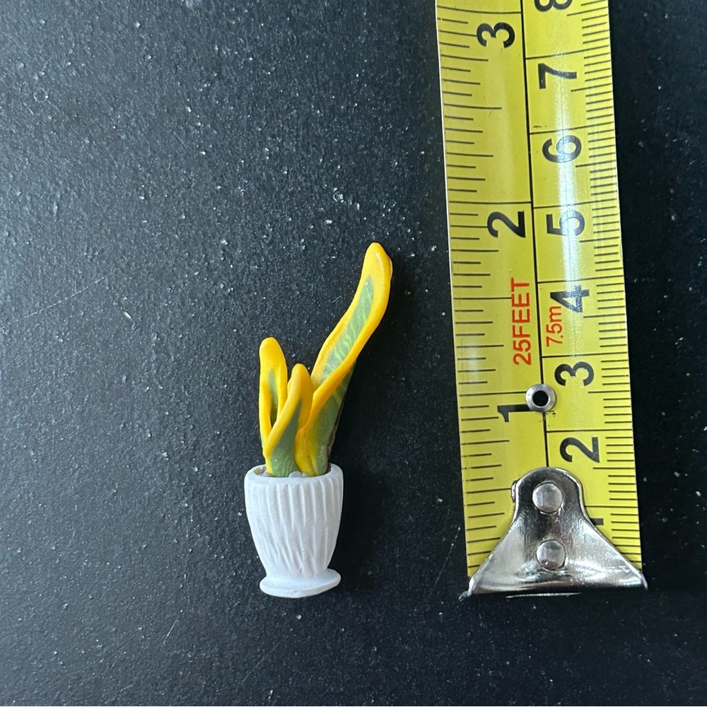 Free item: miniature plant